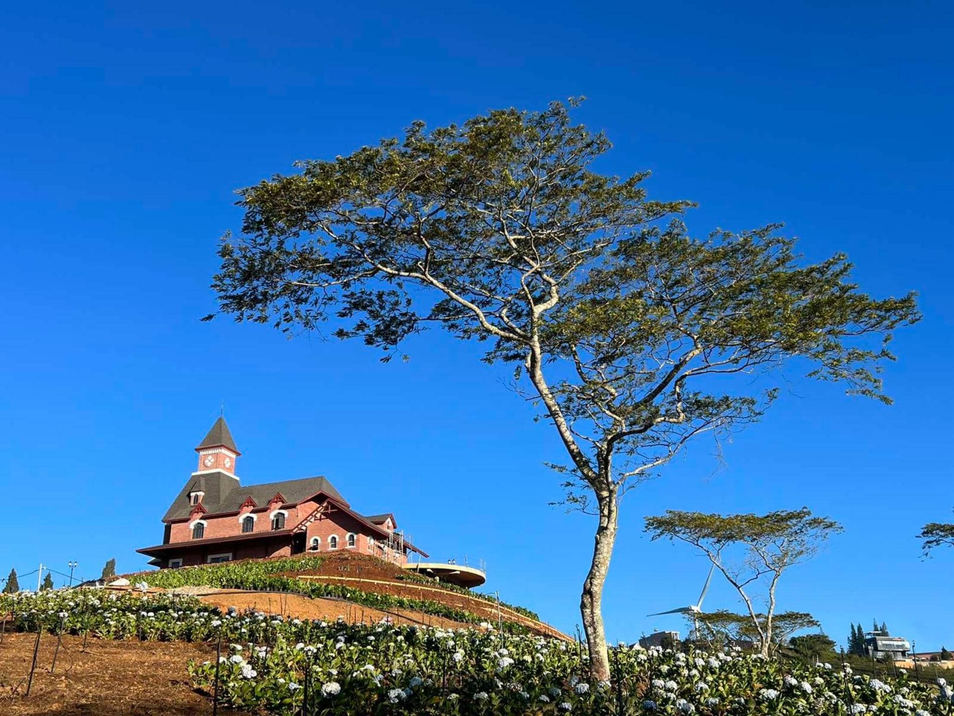 tourist site image
