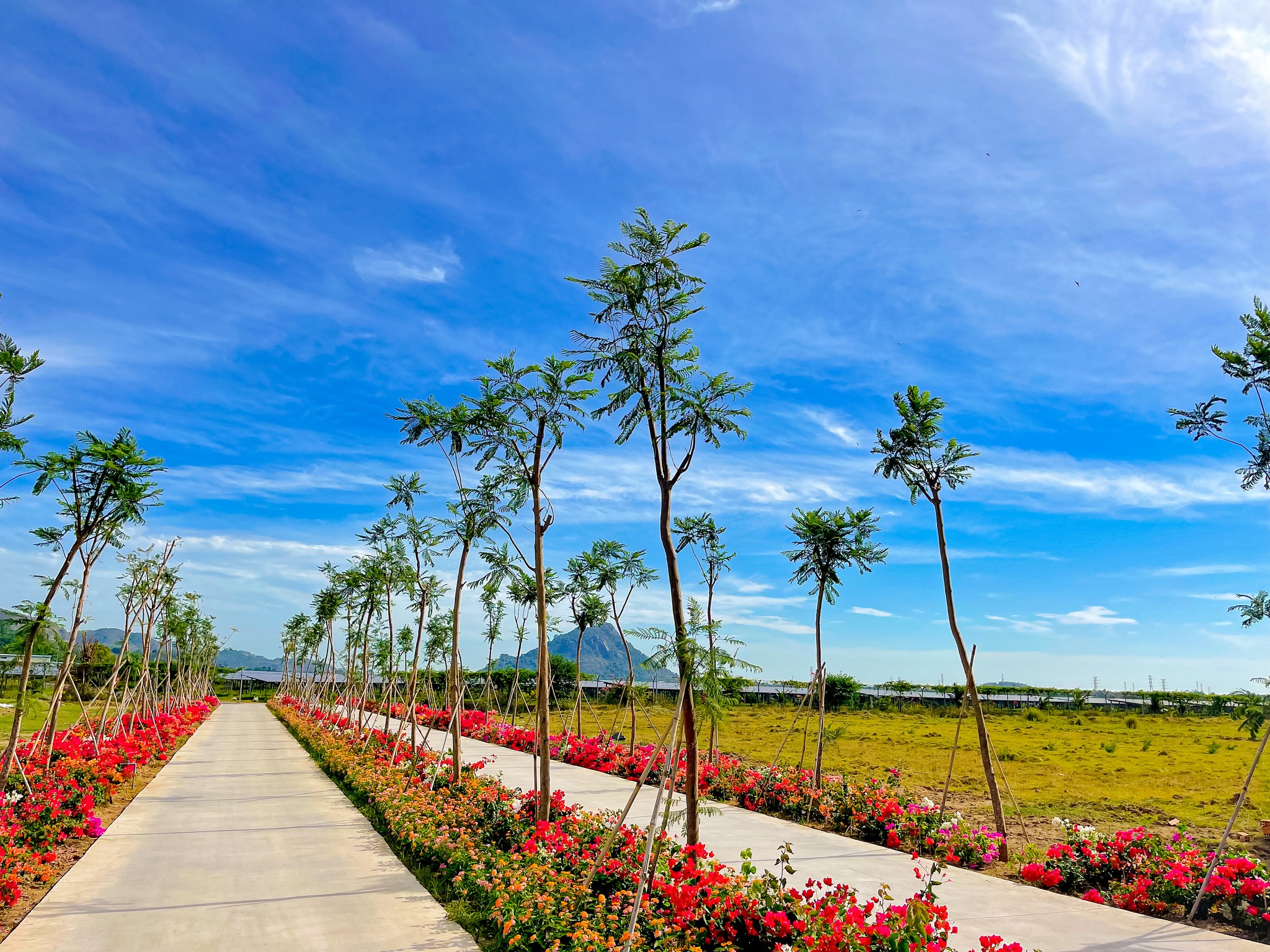 tourist site image