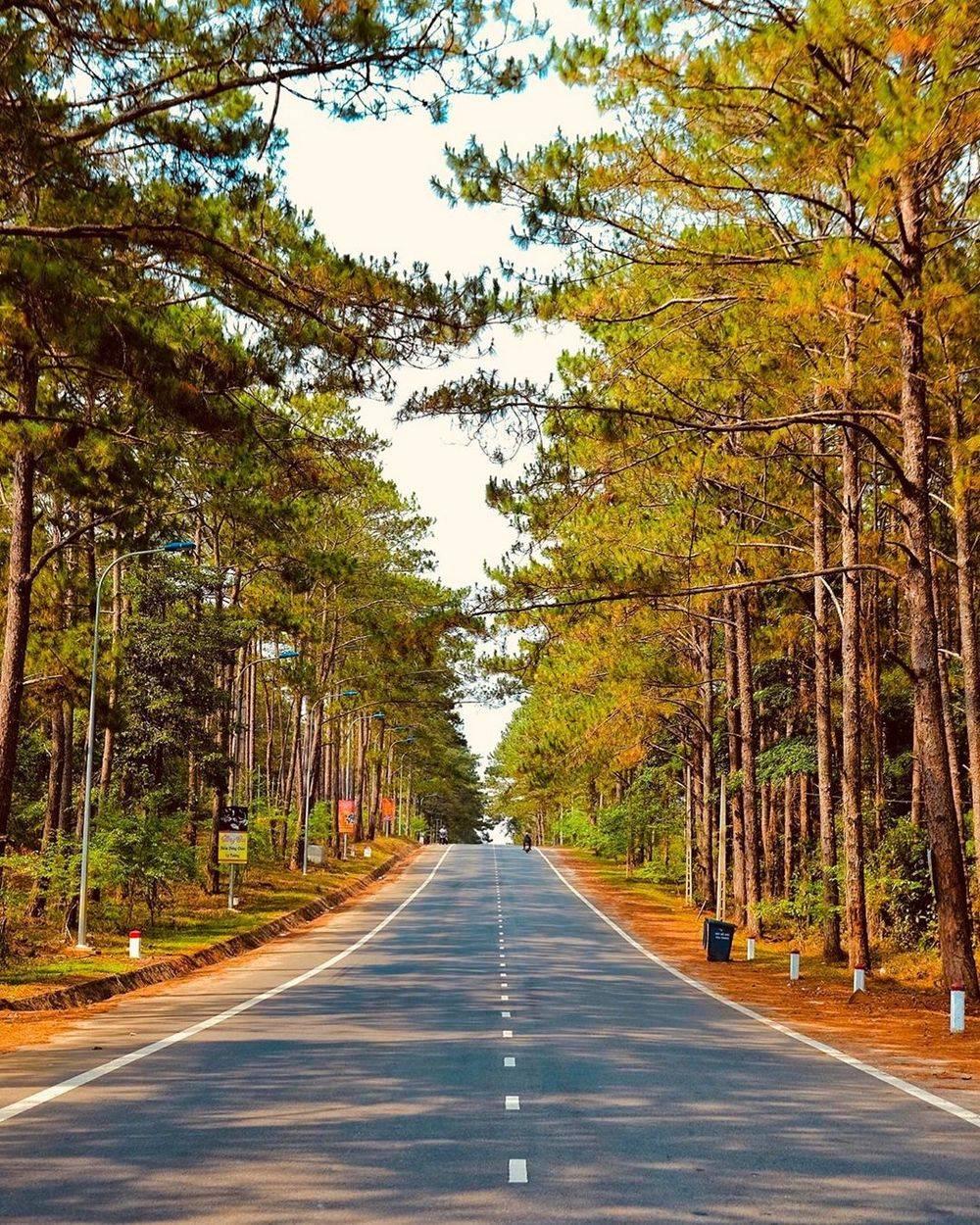 tourist site image